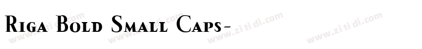 Riga Bold Small Caps字体转换 Riga Bold Small Caps字体转换